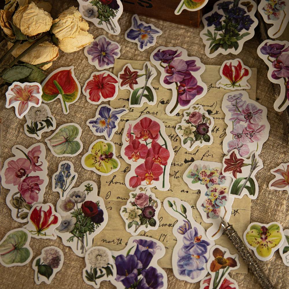 50 Pcs Natural Observation Room Paper Sticker Set