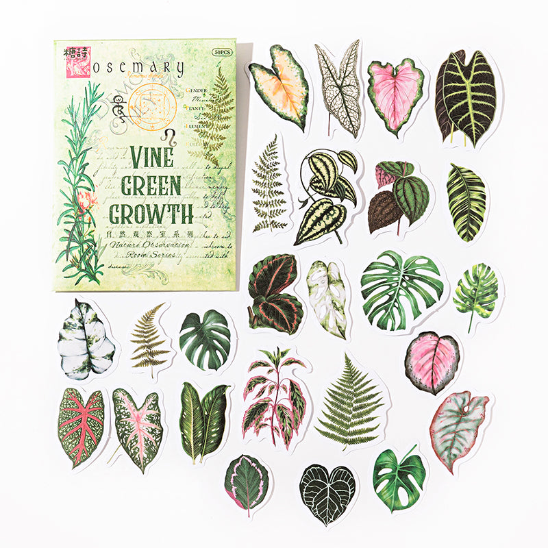 50 Pcs Natural Observation Room Paper Sticker Set