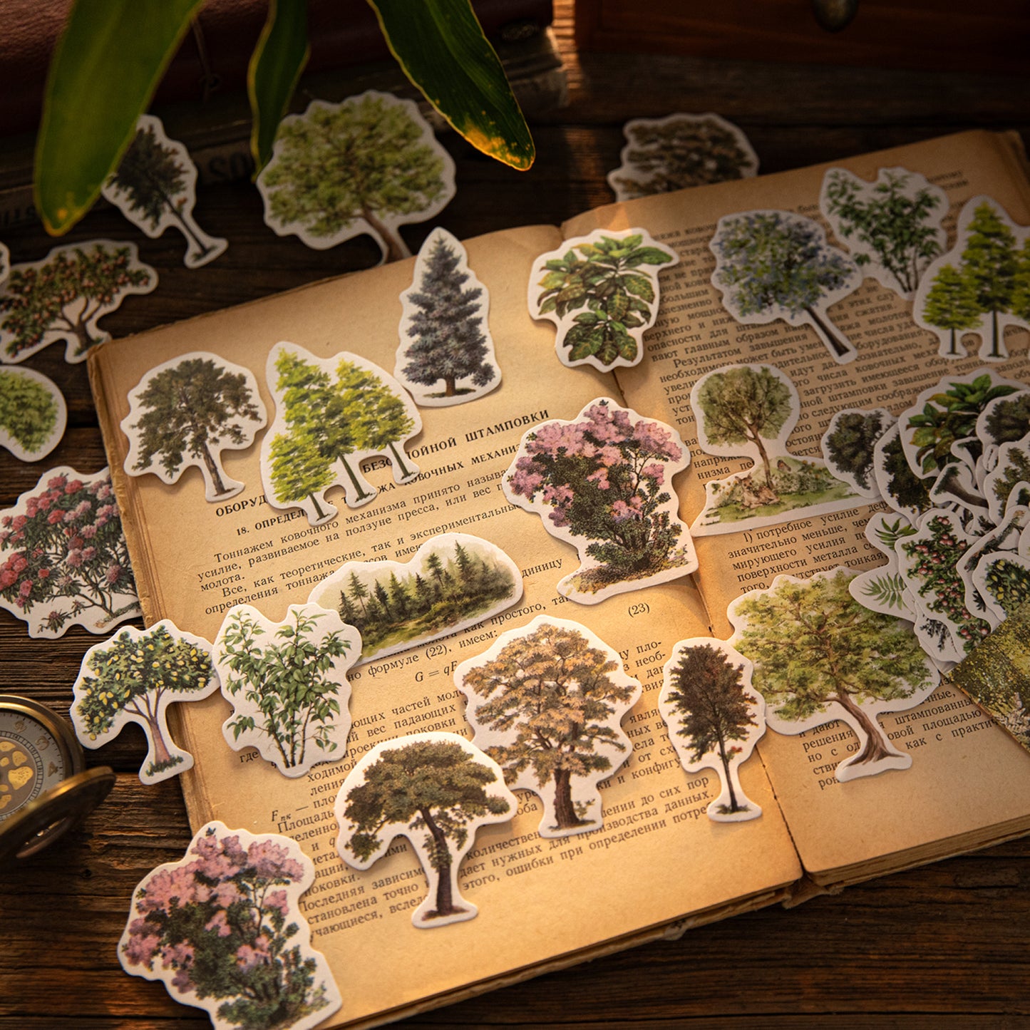 50 Pcs Natural Observation Room Paper Sticker Set