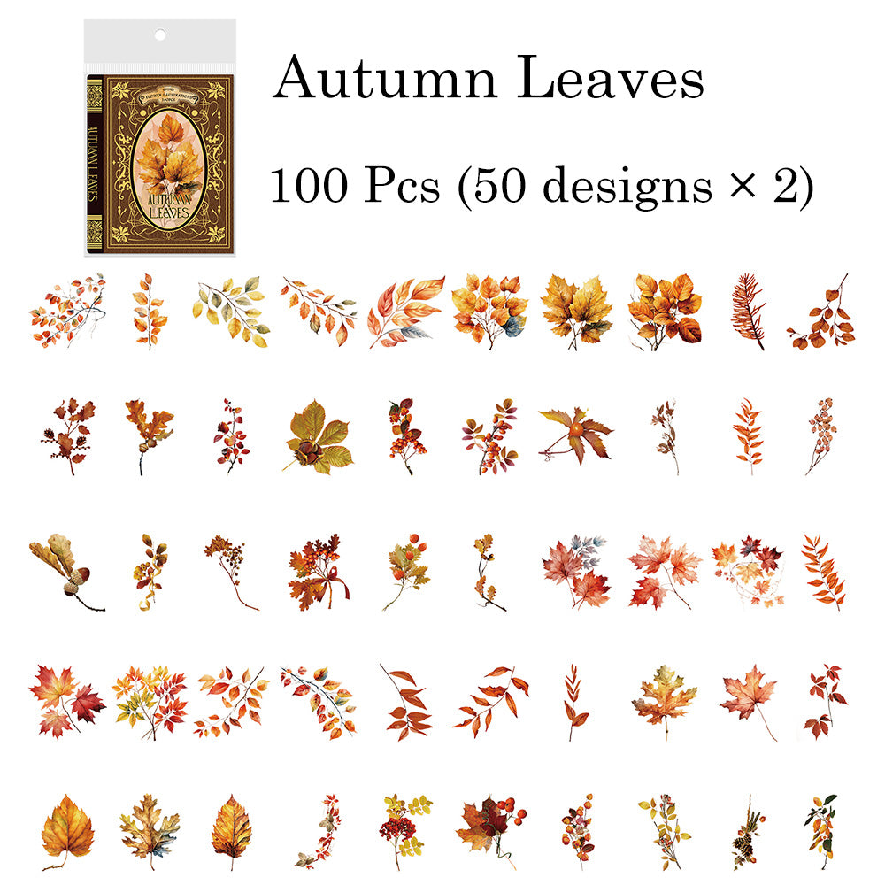 100 Pcs flower Illustrations PET Sticker Set
