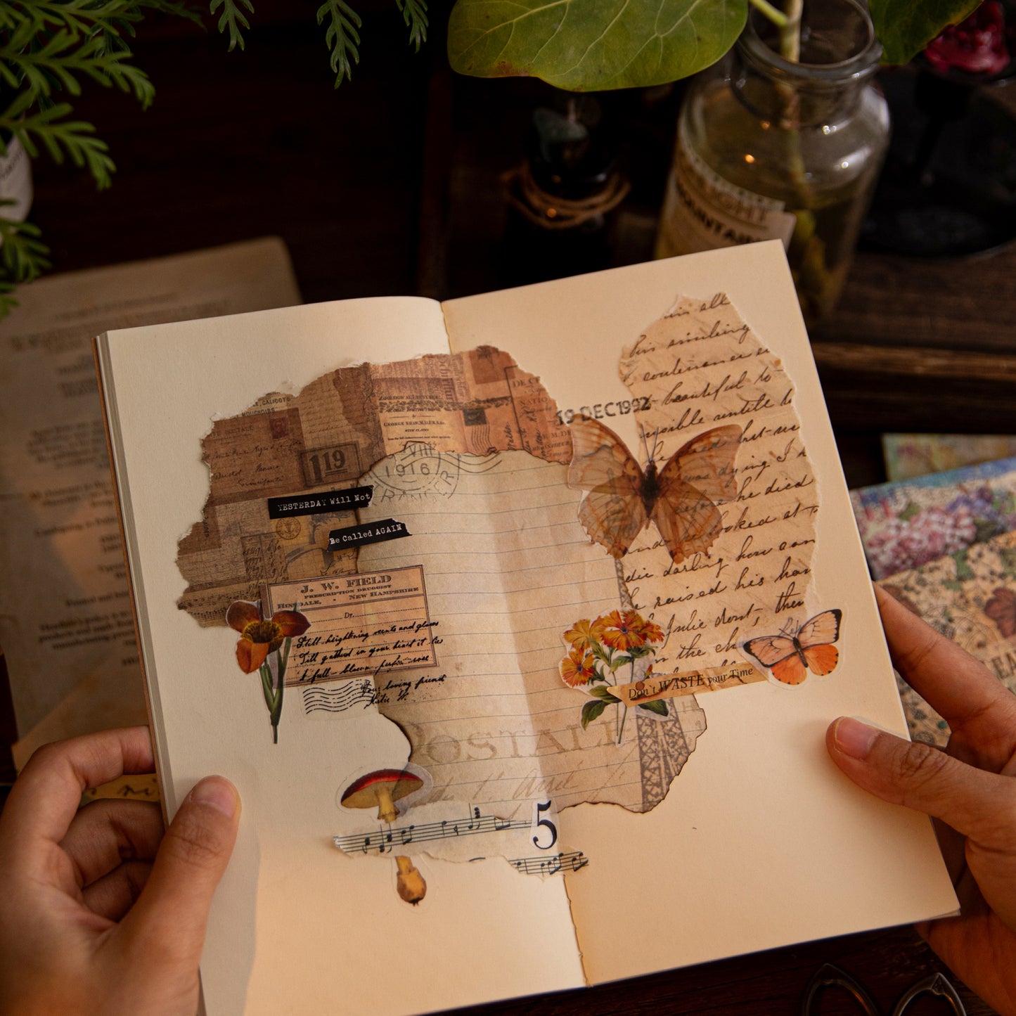 50 Pcs Natural Observation Room Paper Sticker Set