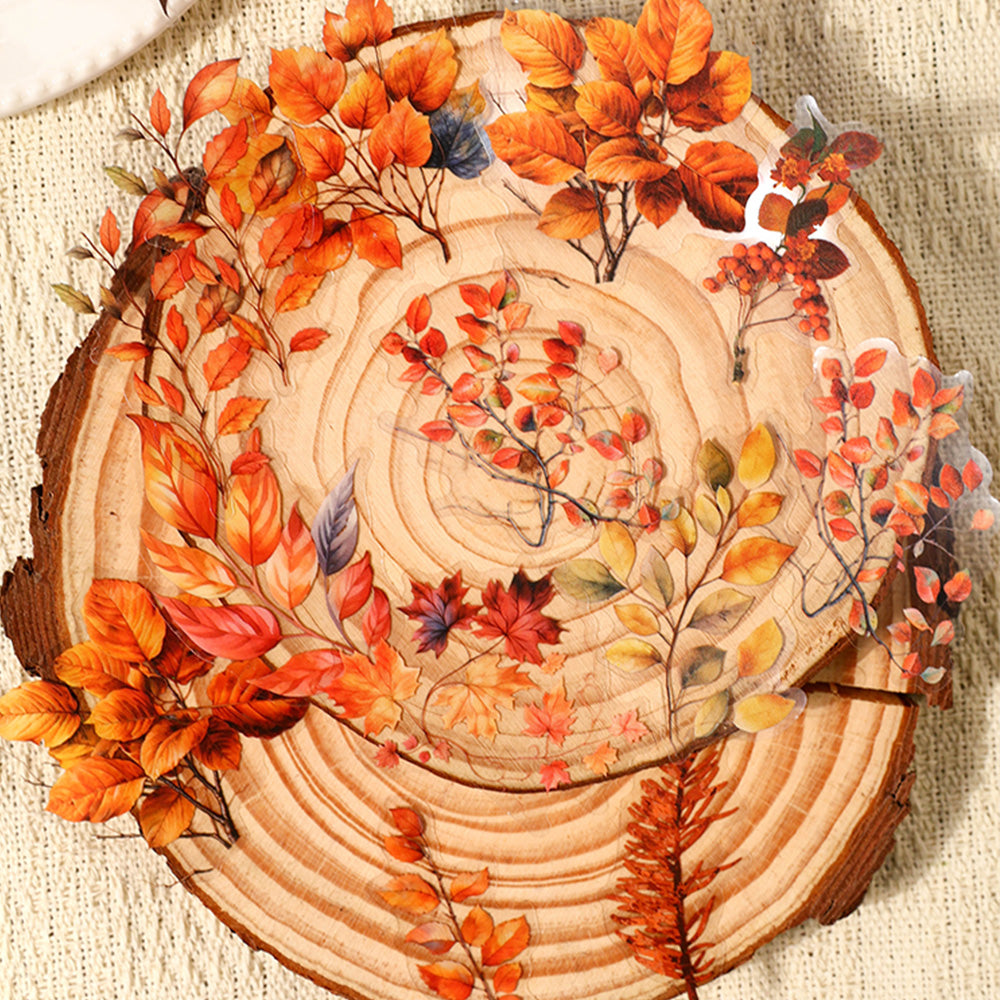 100 Pcs flower Illustrations PET Sticker Set