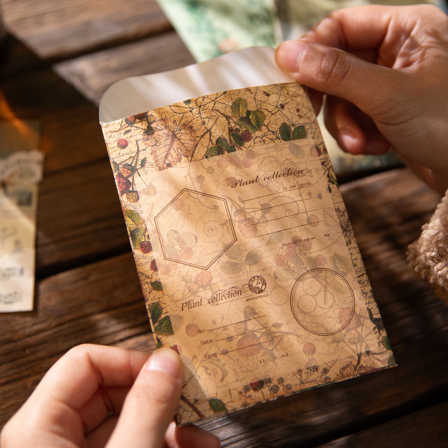 50 Pcs Natural Observation Room Paper Sticker Set