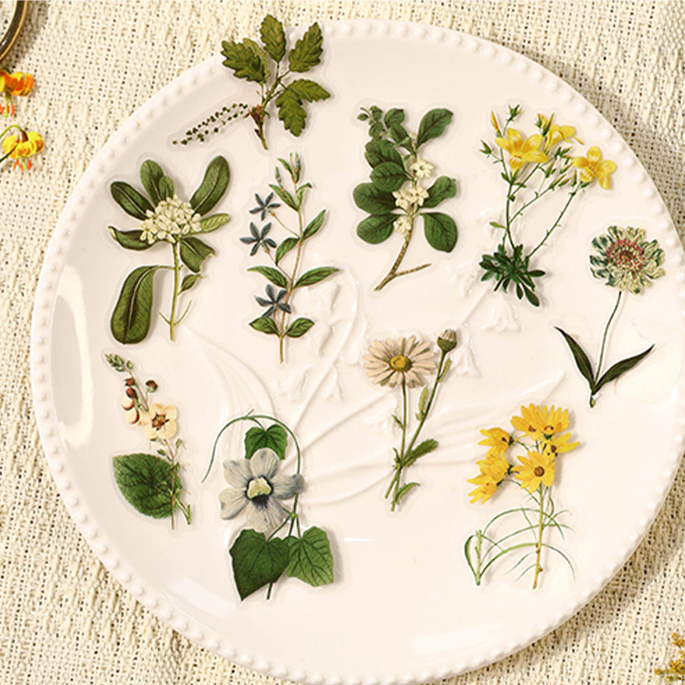 100 Pcs flower Illustrations PET Sticker Set