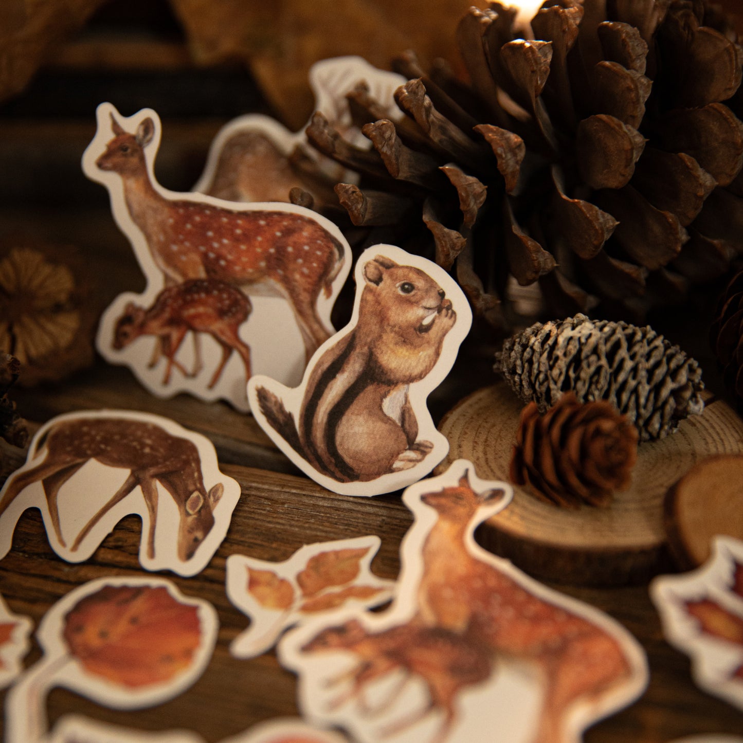 50 Pcs Natural Observation Room Paper Sticker Set