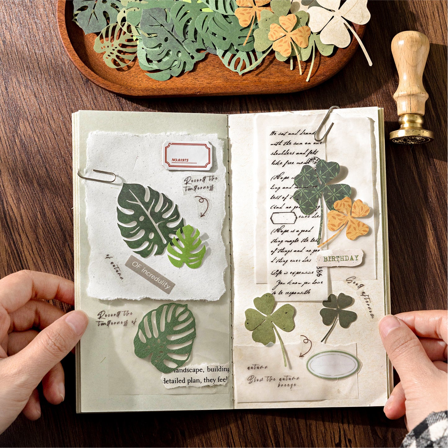 30 Pcs Leaf Collection Die Cut Shapes