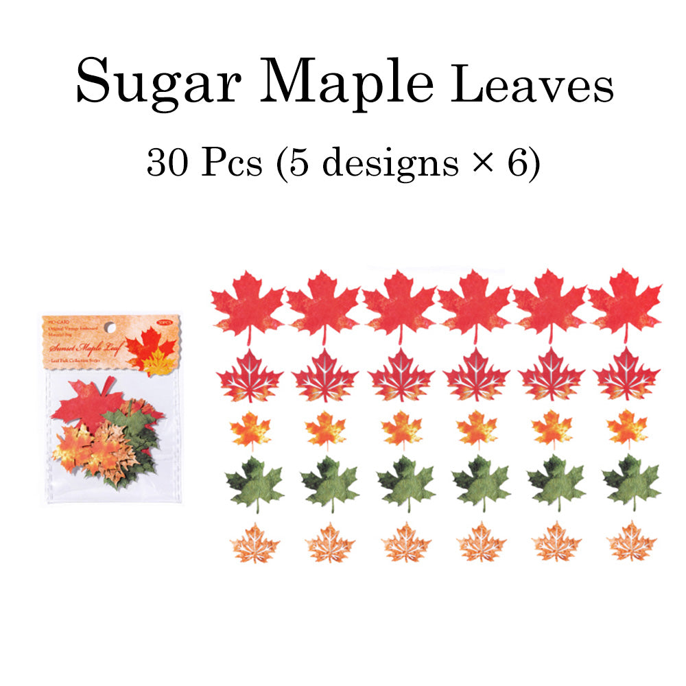 30 Pcs Leaf Collection Die Cut Shapes
