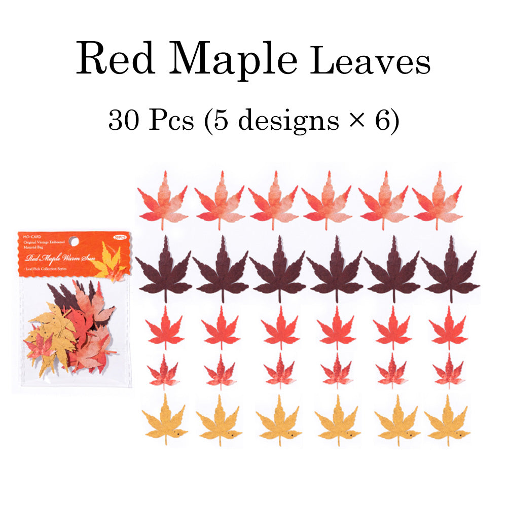 30 Pcs Leaf Collection Die Cut Shapes