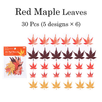 30 Pcs Leaf Collection Die Cut Shapes
