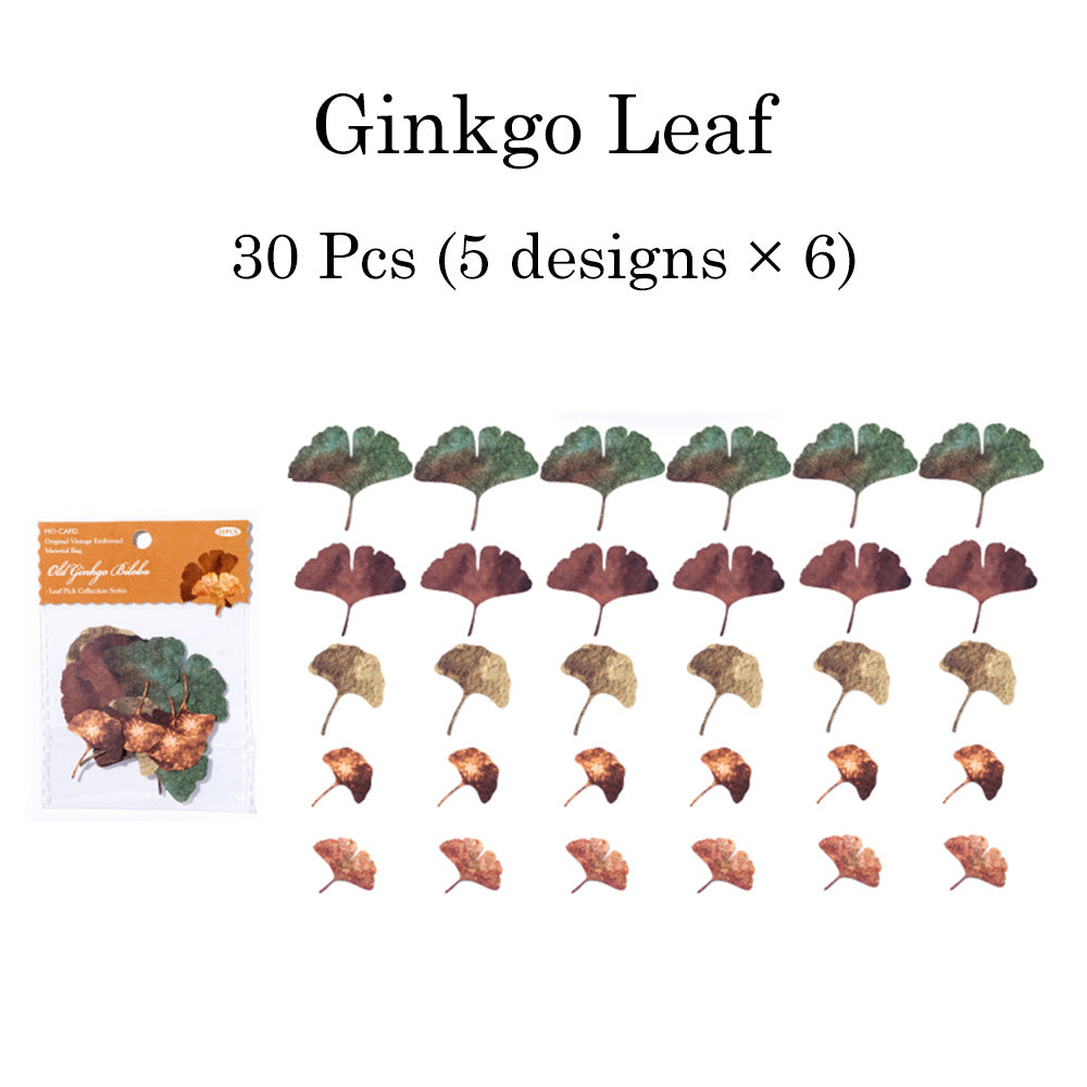 30 Pcs Leaf Collection Die Cut Shapes
