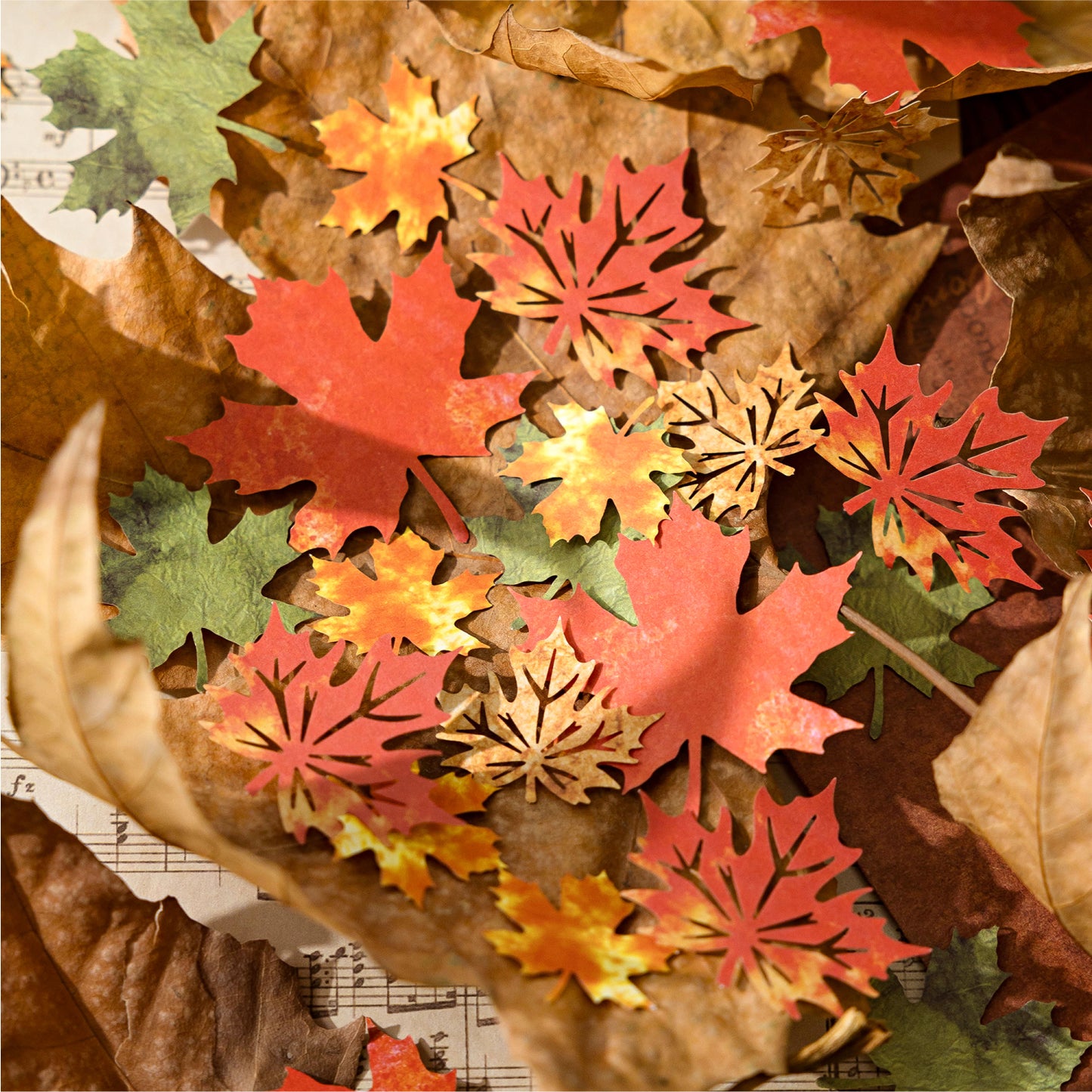 30 Pcs Leaf Collection Die Cut Shapes