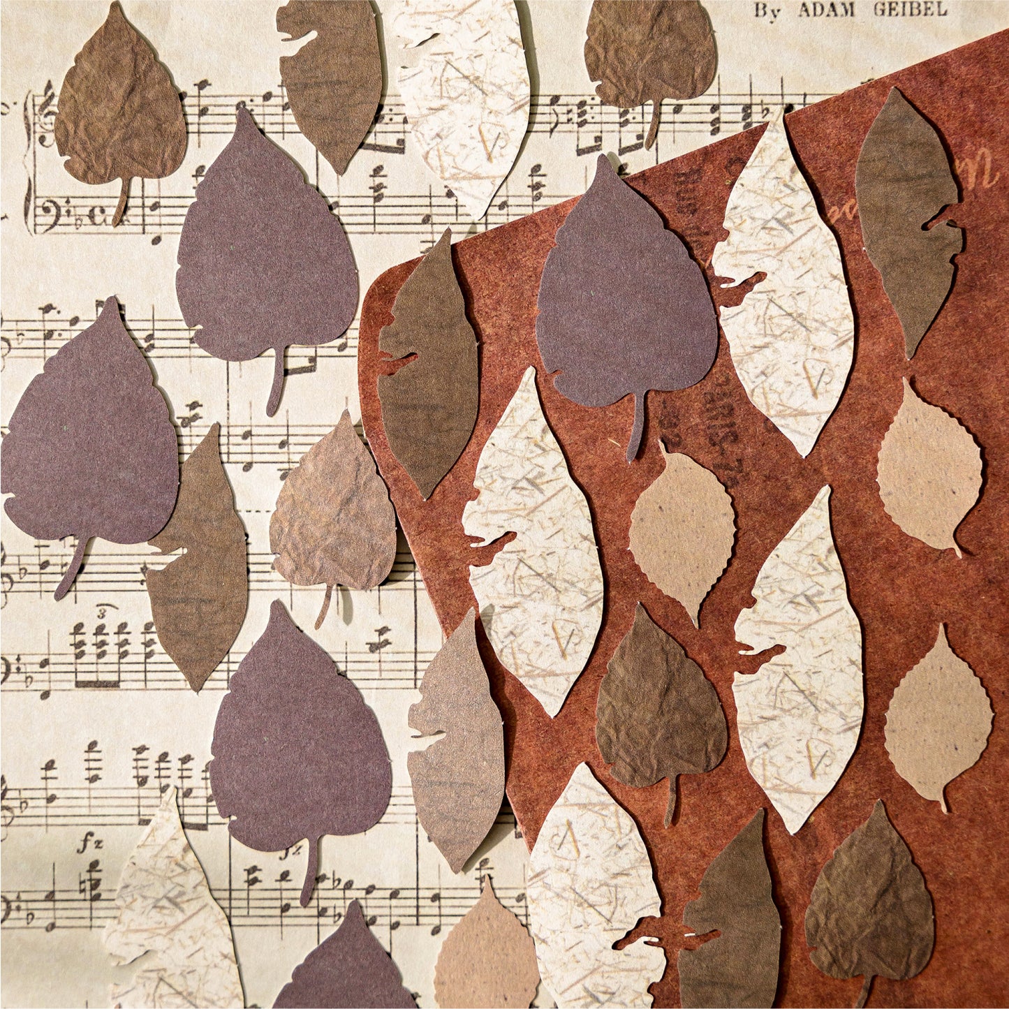 30 Pcs Leaf Collection Die Cut Shapes